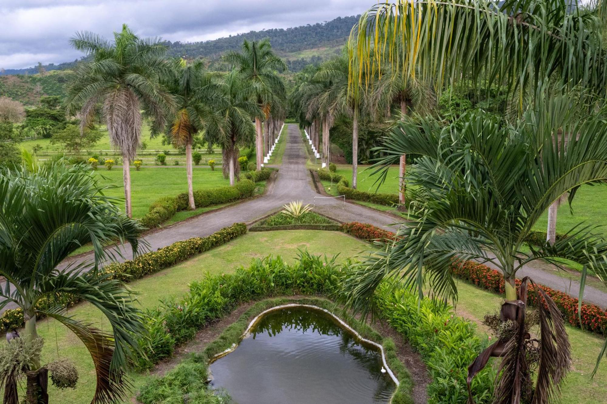 Hotel Casa Turire トゥリアルバ エクステリア 写真